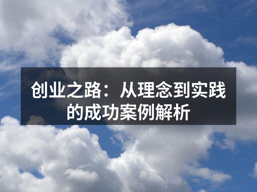 创业之路：从理念到实践的成功案例解析