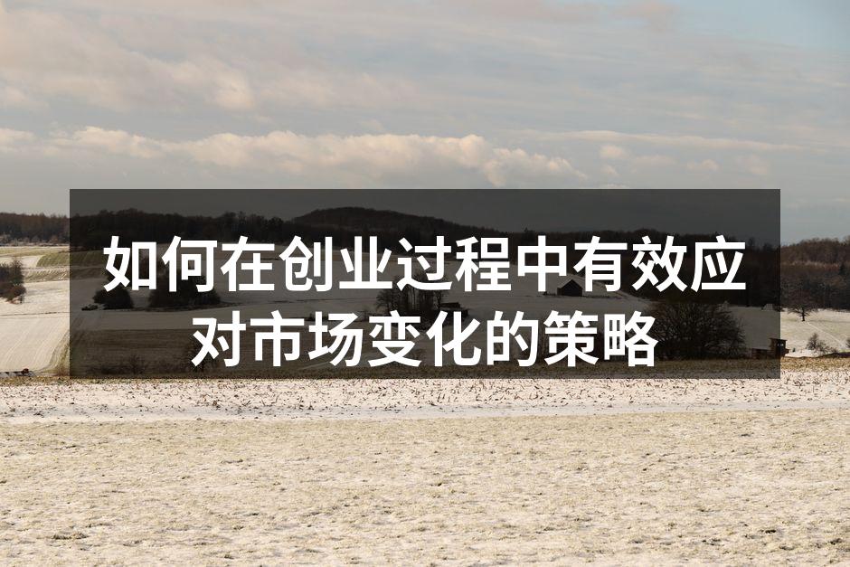 如何在创业过程中有效应对市场变化的策略
